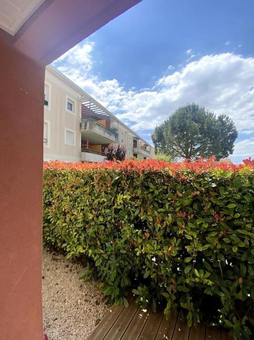 Lou Cameou Marseillan (Herault) Exterior photo